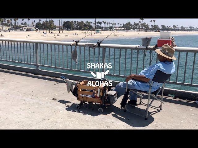 WEDNESDAY ON THE PIER WITH SHAKAS AND ALOHAS