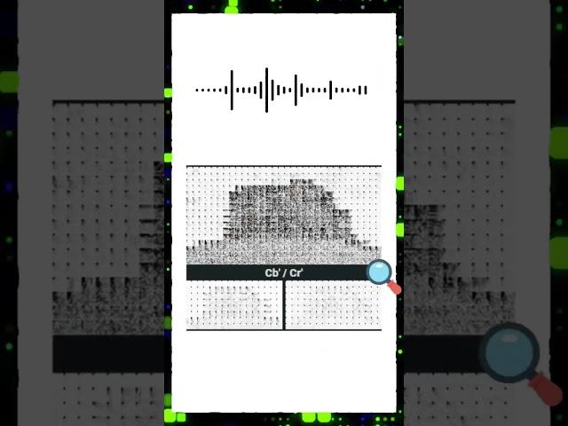 How the JPEG algorithm works ‍ #programming #tech #code #software #technology #career