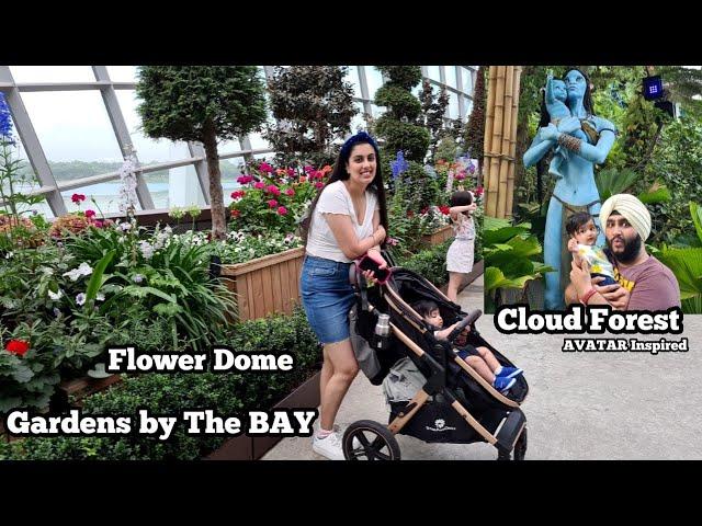 Cloud Forest and Flower Dome - Gardens By The Bay | DVLOGS SINGAPORE (AVATAR INSPIRED)