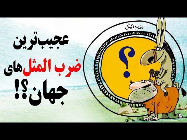 دوازده ضرب المثل جالب از کشورهای مختلف