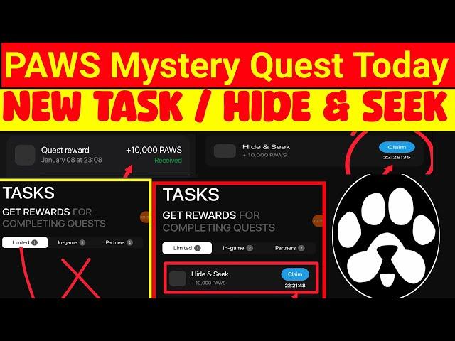 Paws Hide & seek new task | paws mystery quest today | paws mystery quest | paws  new task 10k