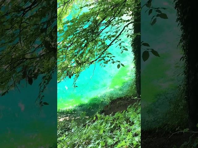 Кристальная вода немецкого озера #christinasanko #германия #своимируками #diy #art