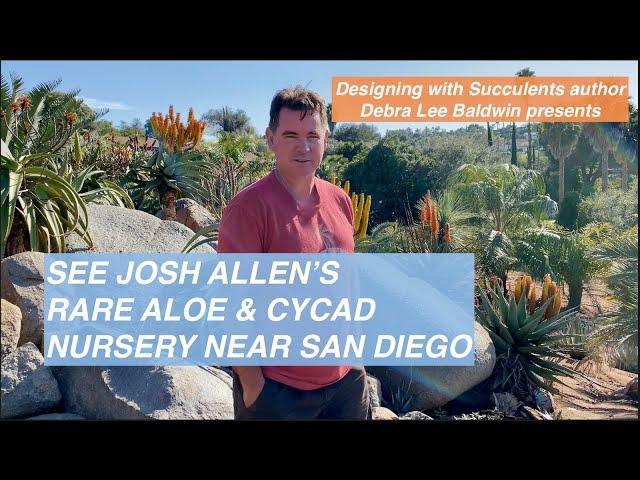 See Josh Allen’s Rare Aloe & Cycad Nursery Near San Diego