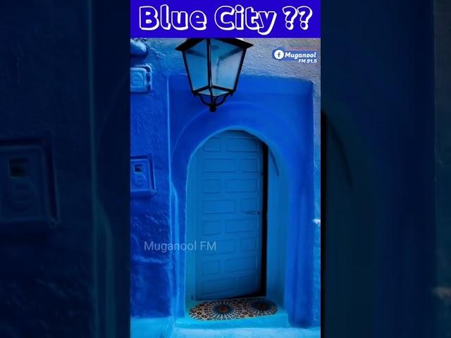 Blue City of India? | Why it is called Blue City? #bluecity #muganool #shorts #bluecityofindia