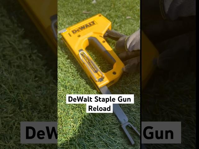 DeWalt Staple Gun Reload | Refill Stapler | #diy #tools #dewalt #realtor