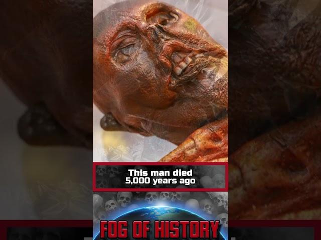This man died more than 5,000 years ago. Ötzi The Iceman | FOG OF HISTORY