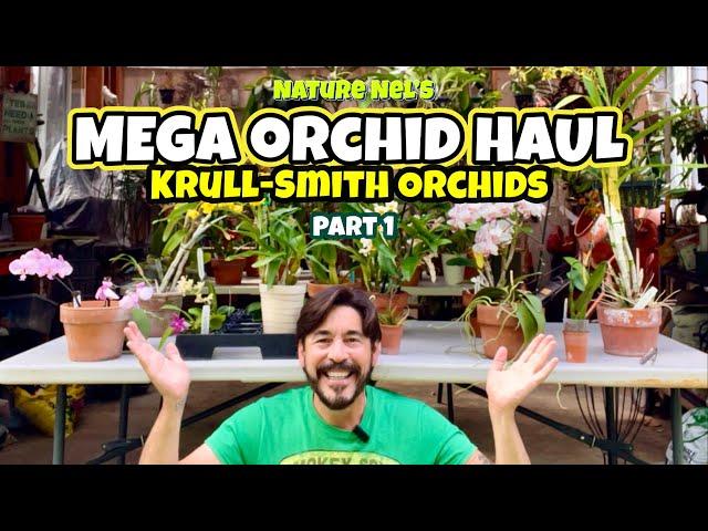 What a haul this is! Part 1 of 2 episodes from my orchid shopping in Apopka, Florida.