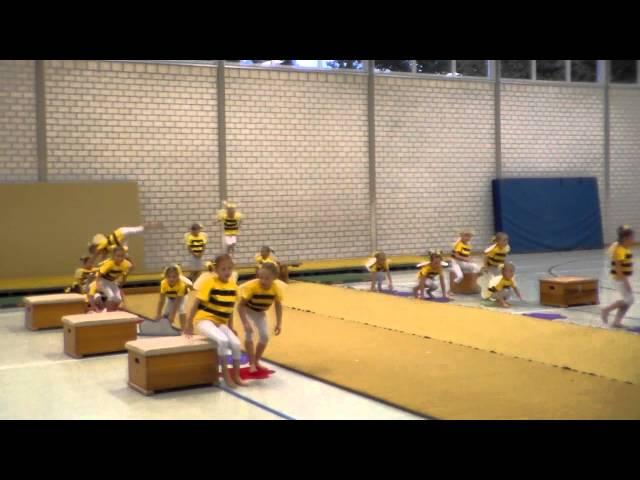 Aufführung Biene Maja-Schauturnen SV Arnum 2012