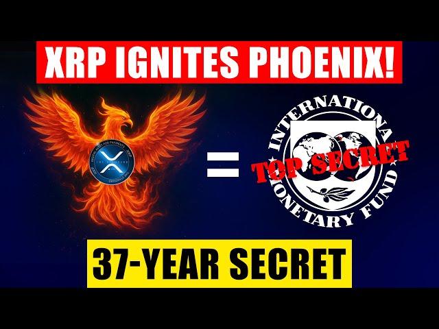 RIPPLE XRP - IMF CONNECTION EXPOSED