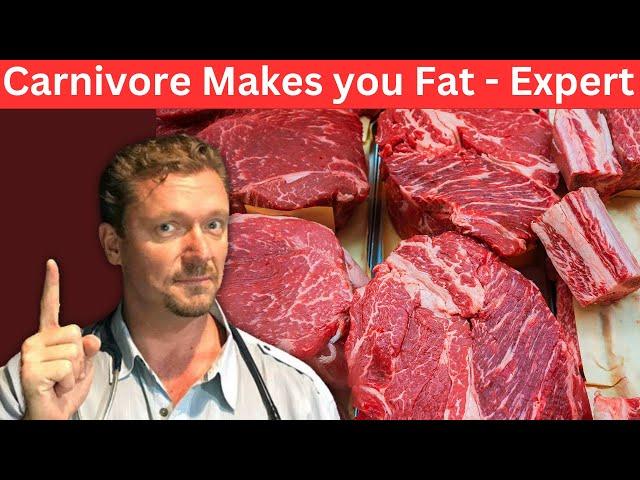 Carnivore Diet causes Belly Fat - Real Expert(s) Reveal…