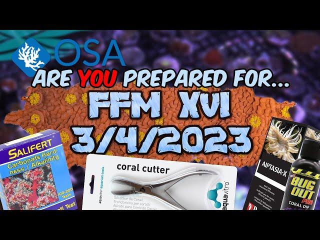 Prepare Yourself for FFM! - Here's How!