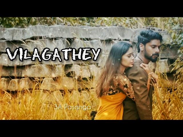 Vilagathey - Stephen Zechariah ft Rakshita Suresh | WhatsApp Status | 3A Pasanga