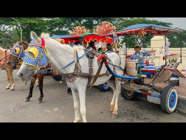 KUDA DELMAN BKT JAKARTA  | DELMAN BKT | LAGU NAIK DELMAN ISTIMEWA