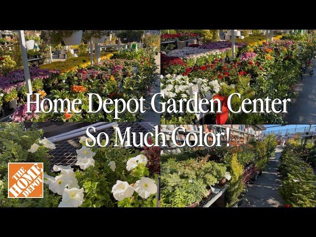 Shopping Trip To Home Depot’s Garden Center In December! || Visit Our Garden