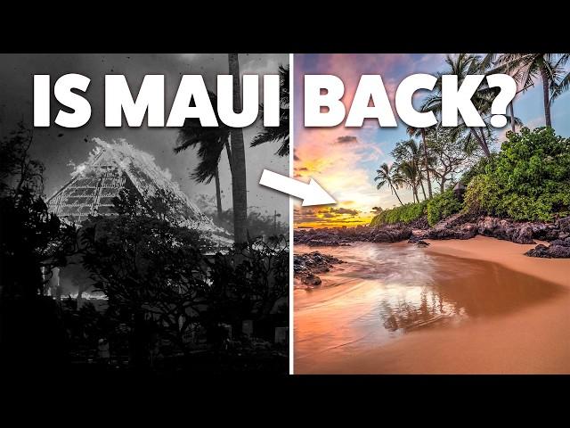 The Truth About Maui Travel in 2024 