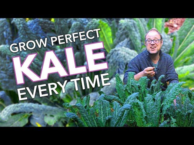 Grow Perfect Kale Every Time!