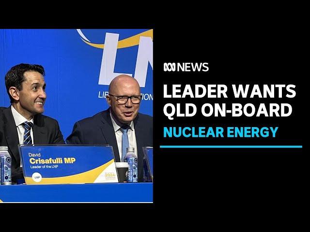 Nationals leader expects Queensland LNP to support Coalition's nuclear plan | ABC News