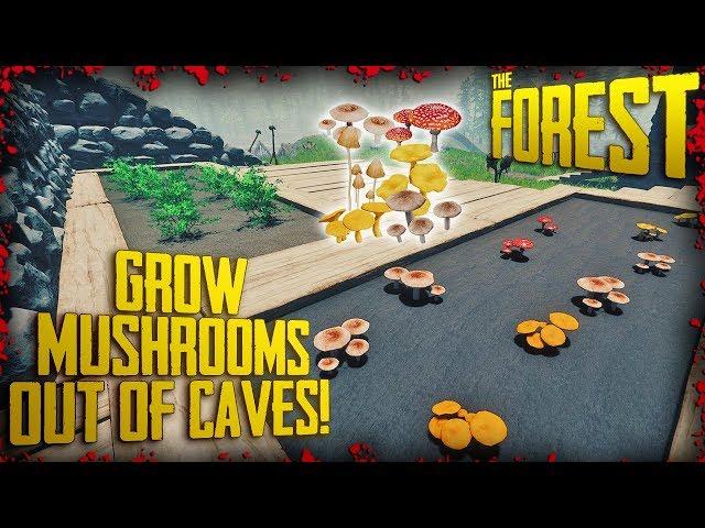 HOW TO GROW MUSHROOMS OUT OF CAVES! (v0.71) | The Forest