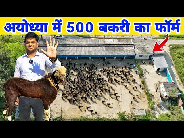 15 साल से अयोध्या में चल रहा है यह शानदार बकरी फार्म | Goat farming Startup