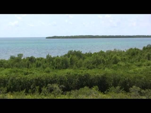 Upper Keys Vacation Condo Rental - Key Largo, Florida