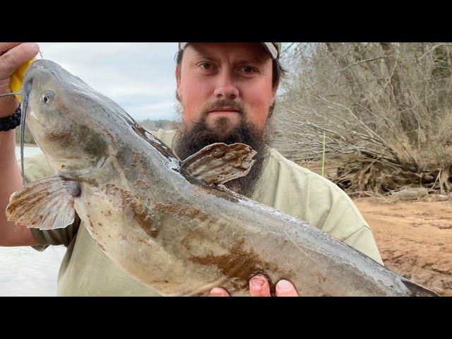 Catfish & Carp bank fishing challenge!!