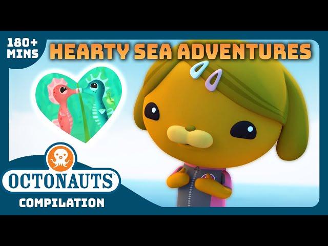 @Octonauts - ️ Hearty Sea Adventures   | 3 Hours+ Compilation | Underwater Sea Education for Kids