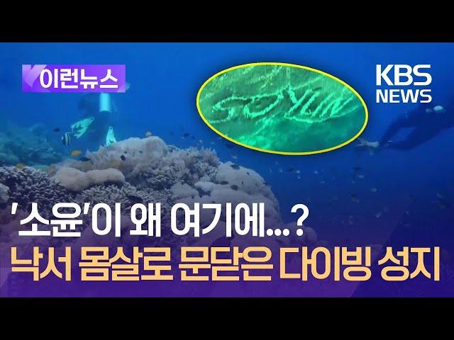 [이런뉴스] ‘소윤’ 한국이름 낙서에 필리핀 다이빙 성지 폐쇄 “법적 조치, 현상금” / KBS 2024.09.05.