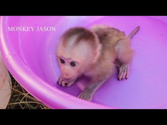 The Cutest Little Monkey Ever, Baby Jason Crying Very Pitiful In Bathtub Wait Mom Bathing