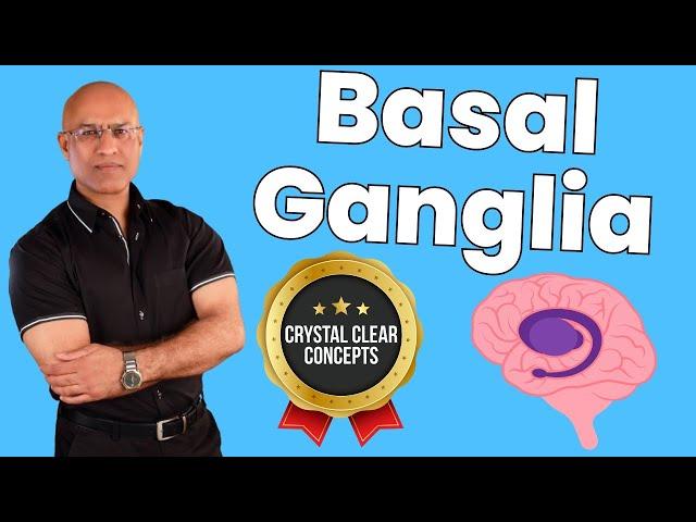 Basal Ganglia | Structure Function | Neuroanatomy | Dr Najeeb