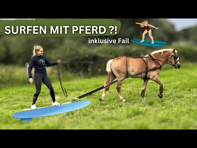 SURFEN MIT PFERD ‍️