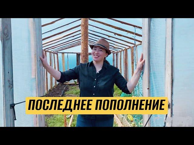 Закупаем оборудование и новое поголовье - а нам всё мало!