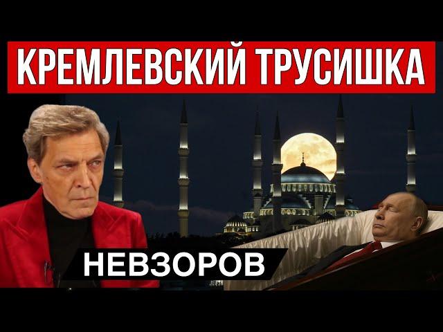 Когда закончится война. Невзоров. Стамбул. Сюрпризы. Из жизни окопных орков. Форум хороших русских.