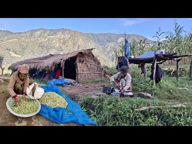 This is Himalayan Very Peaceful Nepali Village Lifestyle | Organic Food Cooking in Countryside