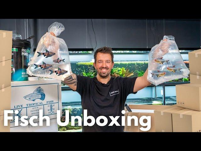 Fisch Unboxing bei Liquid Nature!