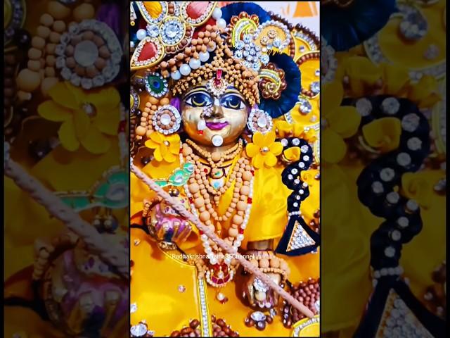 Laddu gopal shorts। Laddu gopal shorts video #shorts #shortsfeed  #ytshorts