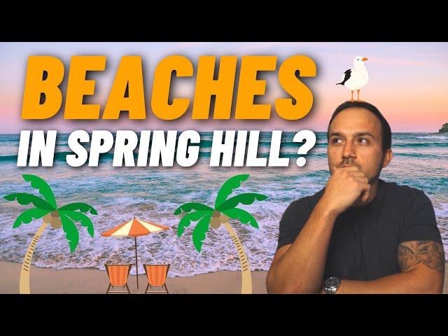 The TOP 3 Beaches in Spring Hill, Florida (Vlog Tour)