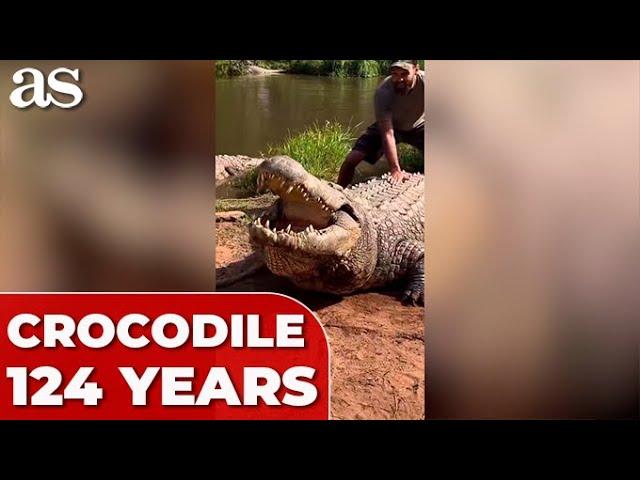 Terrifying Sound of Henry, the World's Oldest Crocodile at 124 Years Old