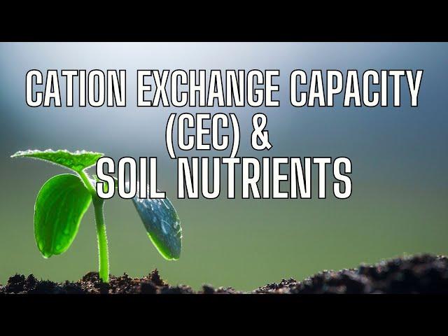 Cation Exchange Capacity (CEC) In Soils