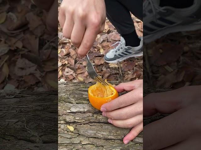 Bushcraft skills 