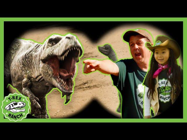 Look Out! GIANT Dinosaur Galore |  T-Rex Ranch Dinosaur Videos