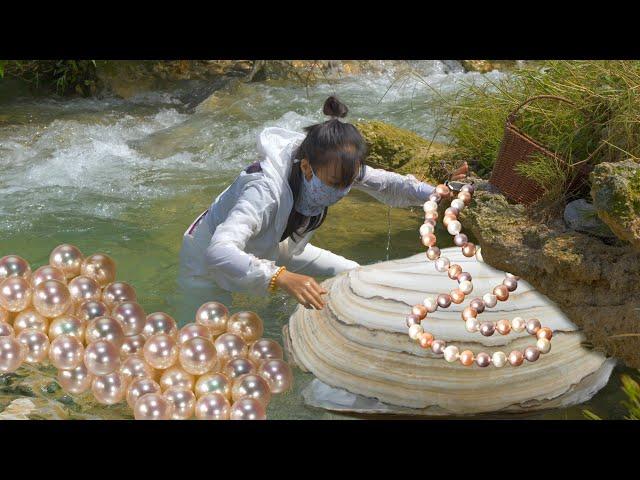 Unleashing Nature's Wonders: Girl Finds Treasure Trove of Pearls Inside Giant River Mussel 