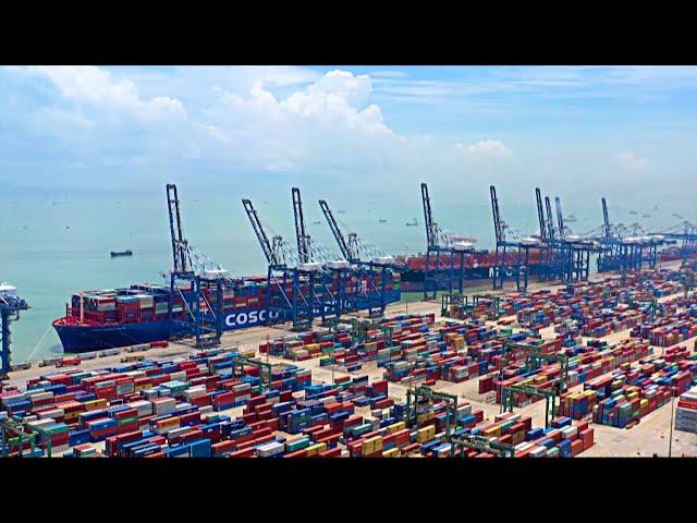 New customs clearance mode launched in Guangdong, China