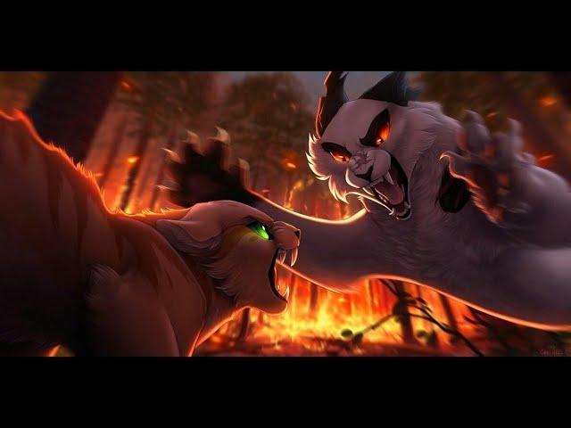 Warrior cats |Unstoppable| Animation Tribute