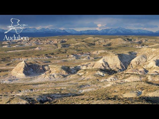 Sagebrush Country | National Audubon Society