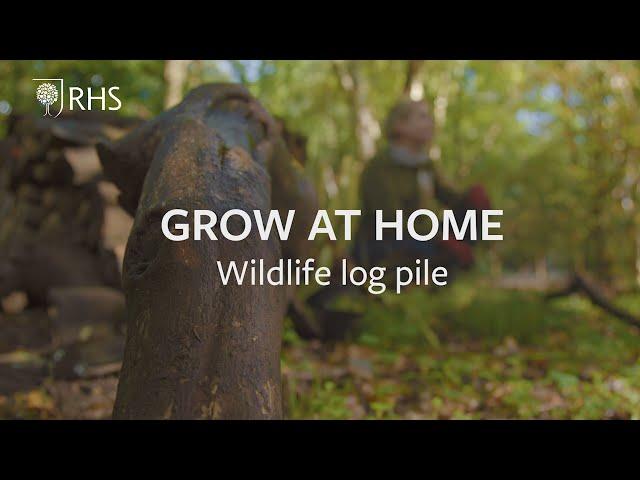 How to build a wildlife log pile | Grow at Home | RHS