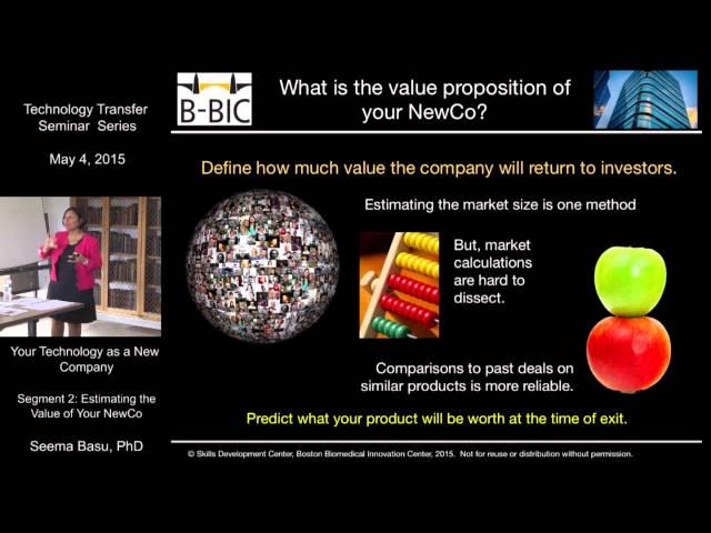 Estimating the Value of Your NewCo