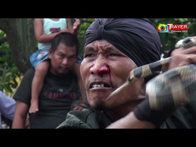 Aksi Wa Oray - Singa Dangdut Putri Cahaya Muda