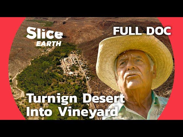 From Desert to Vineyard: The Comondú Oasis Story, Mexico  | SLICE EARTH | FULL DOCUMENTARY