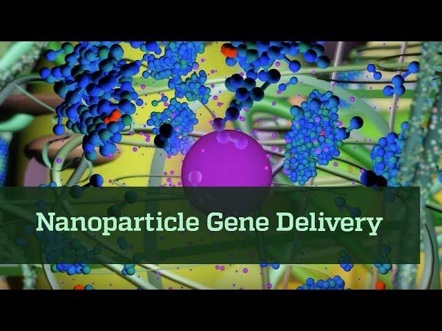 Nanoparticle Gene Delivery