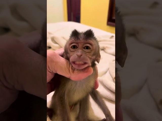 Baby monkey_leave me alone!!!